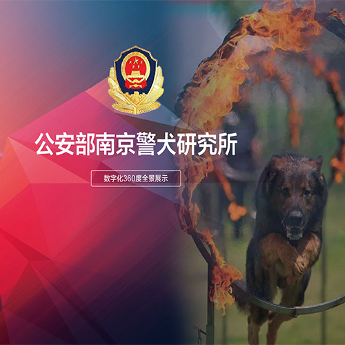 公安部南京警犬研究所VR全景云端漫游